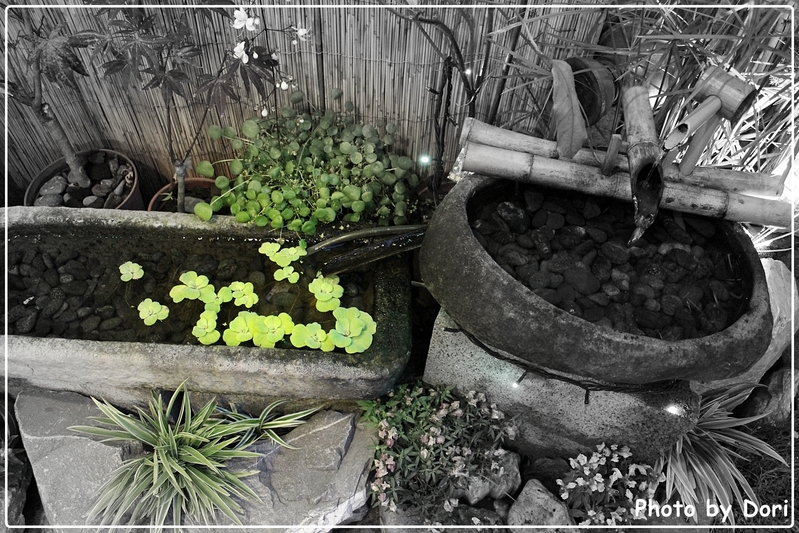 〈下午茶〉和茗甘味處。芳香園之抹茶好香 @台北市金華街