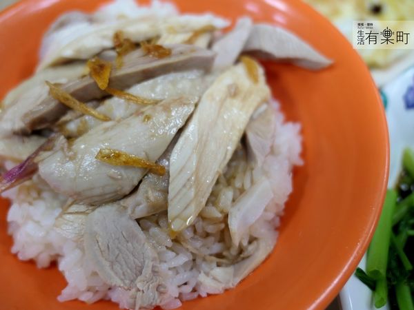 【嘉義東區美食】東門雞肉飯：巷子內人氣雞肉飯雞片飯，油蔥酥飄香雞肉軟嫩；豐富小菜平價美味，在地人也愛這一味