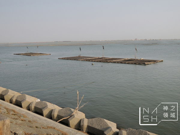 DSCN3749.JPG DSCN3749.JPG