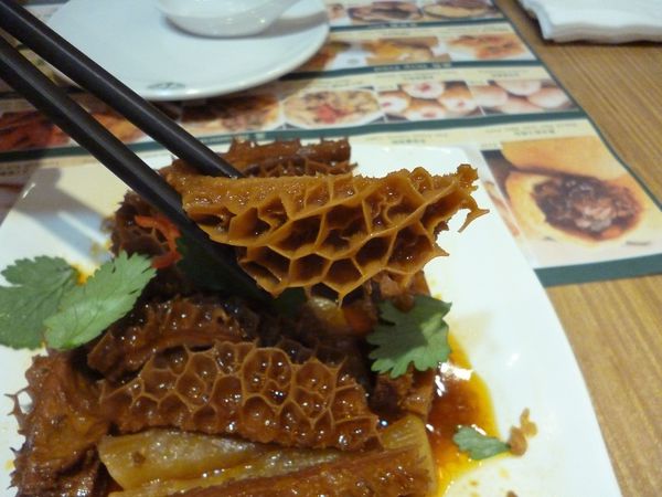 添好運台灣 Timhowan Taiwan(信義店A8 B2):新的一年祝各位添好運--添好運新光三越信義店A8体驗心得