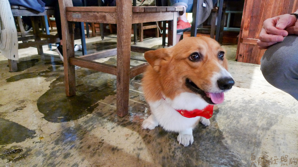 P1040021-46.jpg P1040021-46.jpg