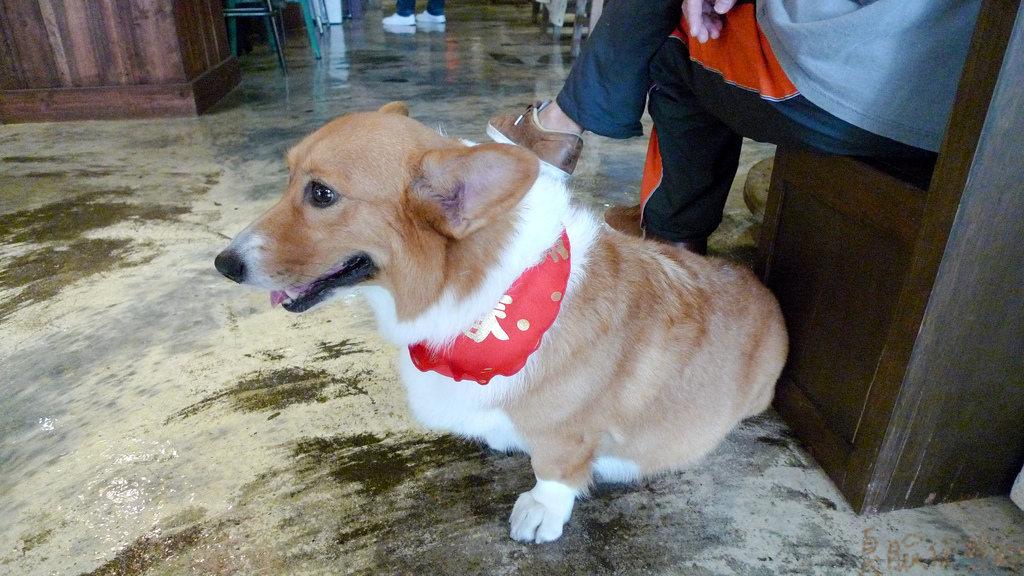 P1040024-48.jpg P1040024-48.jpg