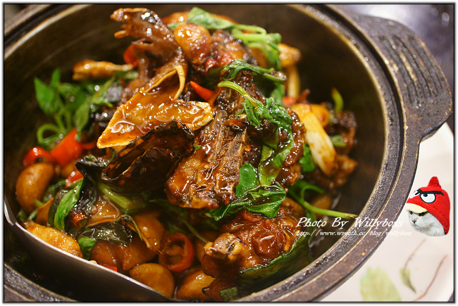 生猛鰻魚發現－阿來活海鮮(桃園中壢)