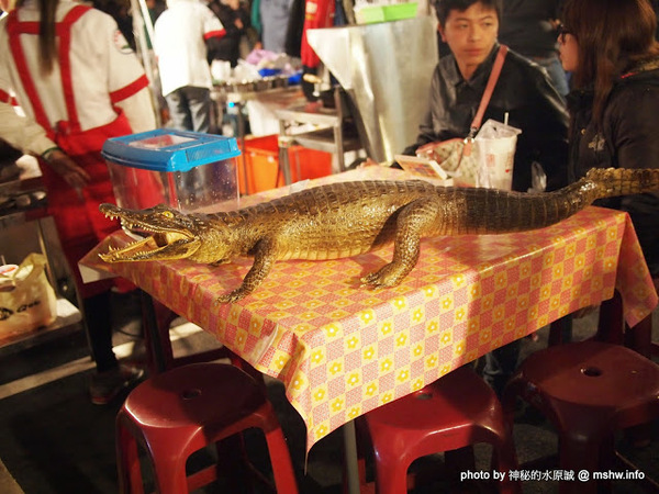 環中觀光夜市：【景點】台中環中觀光夜市@西屯 : 7000坪大容量的新夜市？!停車方便,攤位沒有經貿多,感覺比較接近龍富…