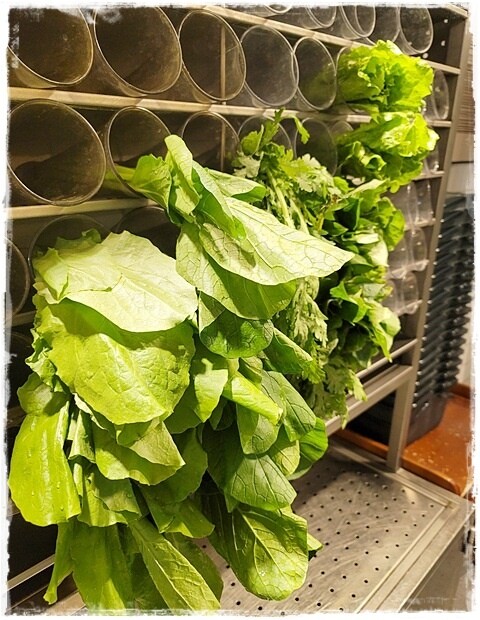 00657305.jpg 00657305.jpg