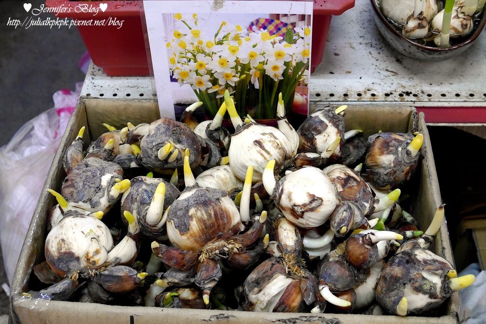 P1190558.jpg P1190558.jpg