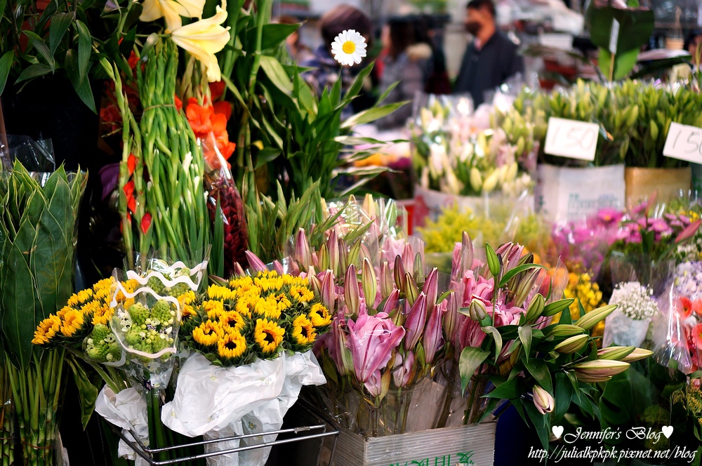 DSC06510.jpg DSC06510.jpg