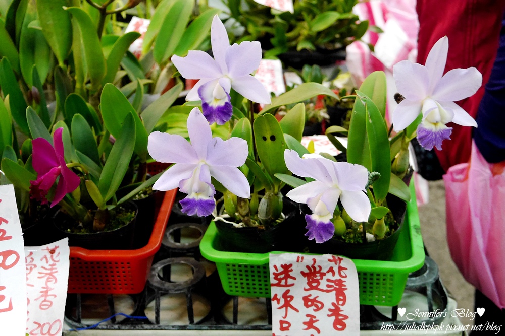 P1190540.jpg P1190540.jpg