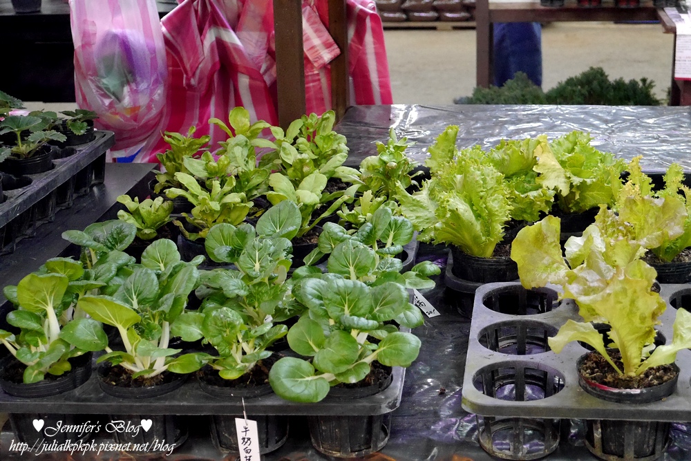 P1190548.jpg P1190548.jpg