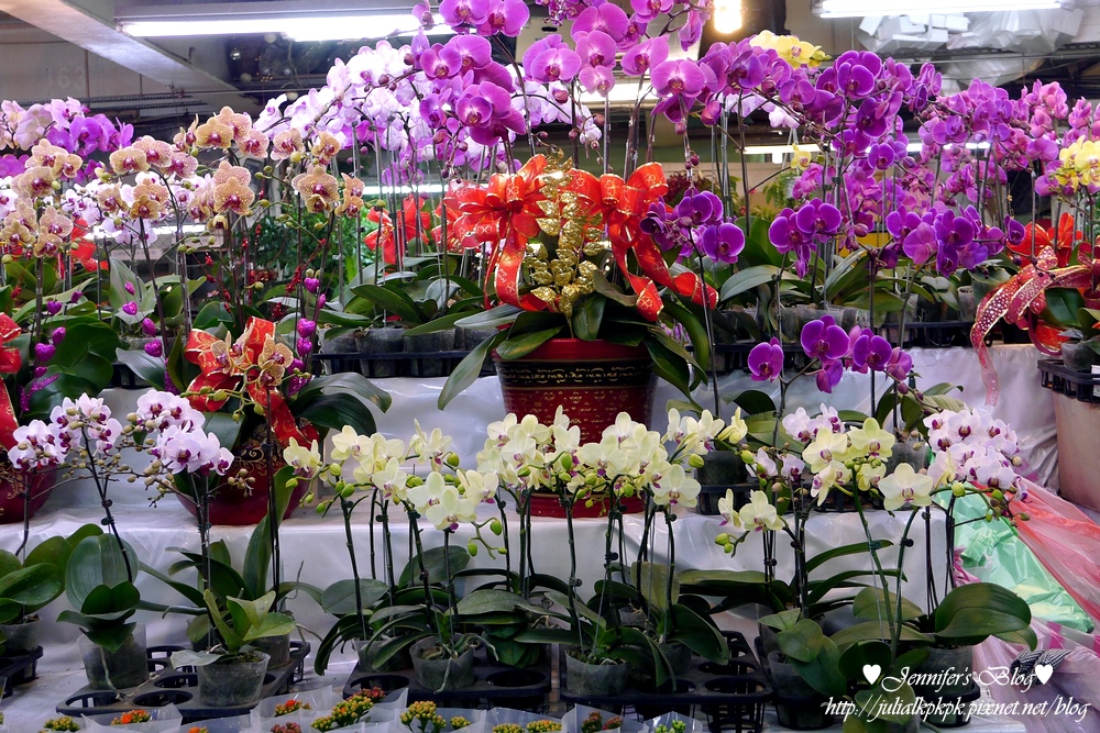 P1190542.jpg P1190542.jpg