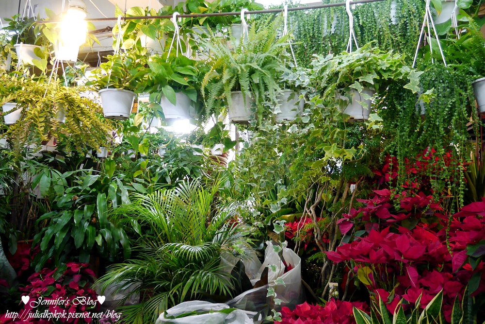 P1190543.jpg P1190543.jpg