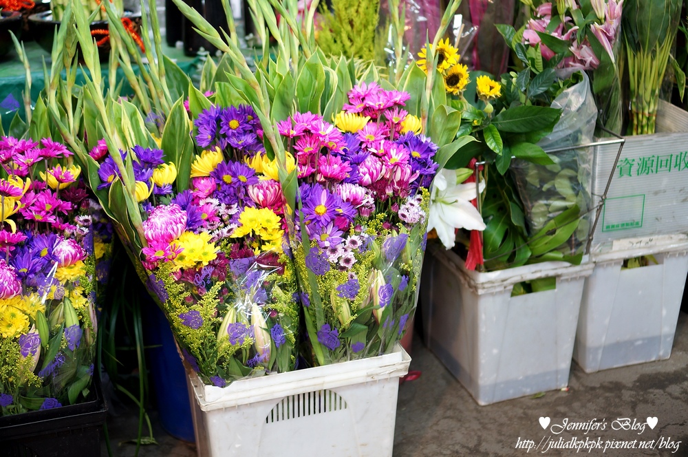 DSC06509.jpg DSC06509.jpg