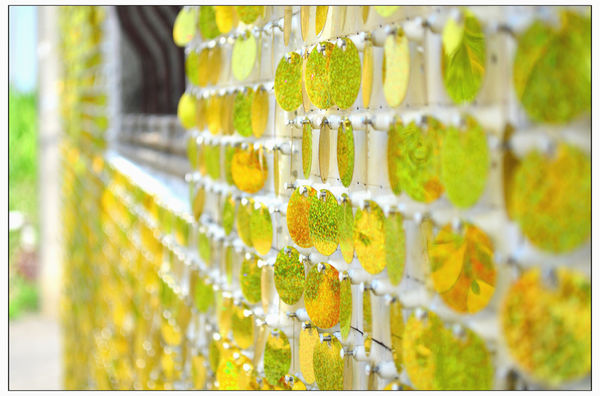 DSC_4256.1.jpg DSC_4256.1.jpg