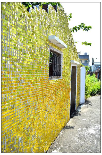 DSC_4271.JPG DSC_4271.JPG