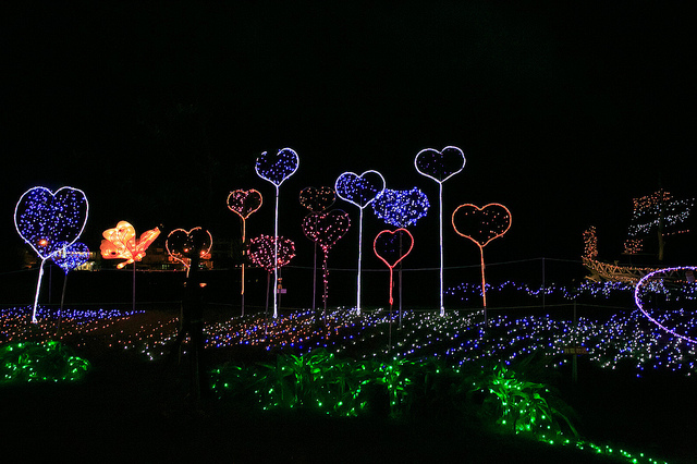 【金山景點】閃爍元旦。浪漫金山-北海岸金山水尾七彩之心夢幻燈海 (北海岸燈海金山篇)