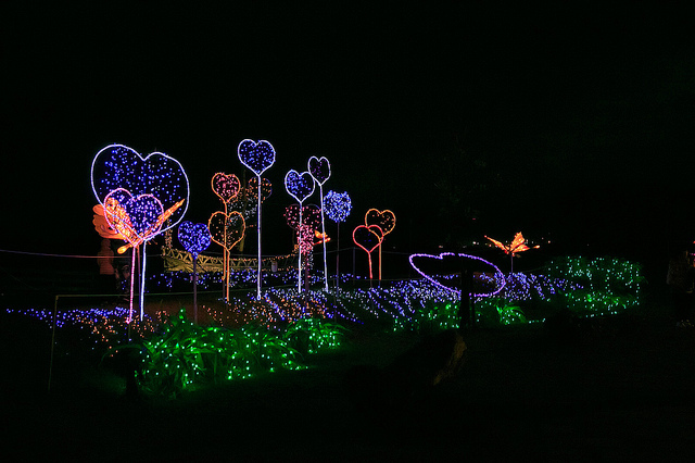 【金山景點】閃爍元旦。浪漫金山-北海岸金山水尾七彩之心夢幻燈海 (北海岸燈海金山篇)