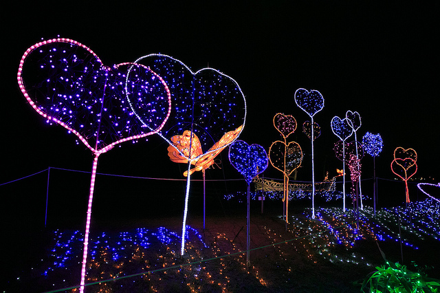 【金山景點】閃爍元旦。浪漫金山-北海岸金山水尾七彩之心夢幻燈海 (北海岸燈海金山篇)