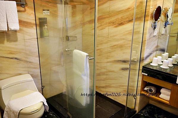 【花蓮住宿】藍天麗池飯店 #switch #遊戲室 #健身房 #寵物旅館 #腳踏車 近 #東大門夜市 #公正包 (9).JPG