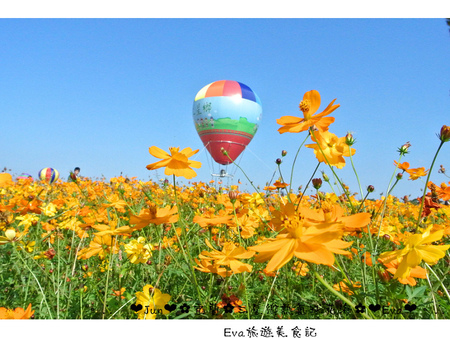 三星鄉：【遊記】oO。宜蘭 三星鄉*２０１５三星鄉花海氣球嘉年華*   超美花海和五顏六色的熱氣球，看了心情好好～。o○。