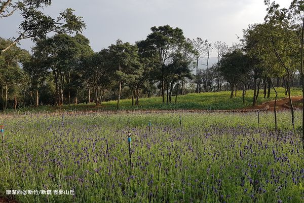 【新竹/新埔】雲夢山丘
