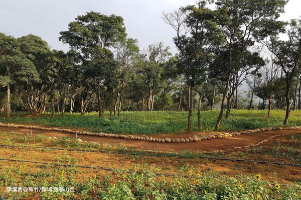 【新竹/新埔】雲夢山丘