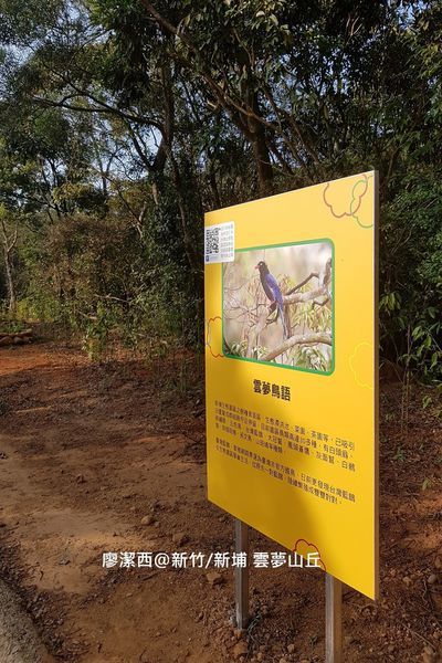 【新竹/新埔】雲夢山丘