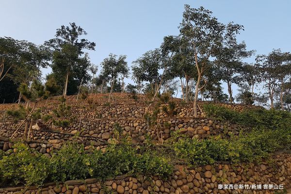 【新竹/新埔】雲夢山丘