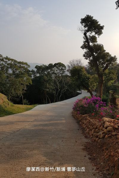 【新竹/新埔】雲夢山丘