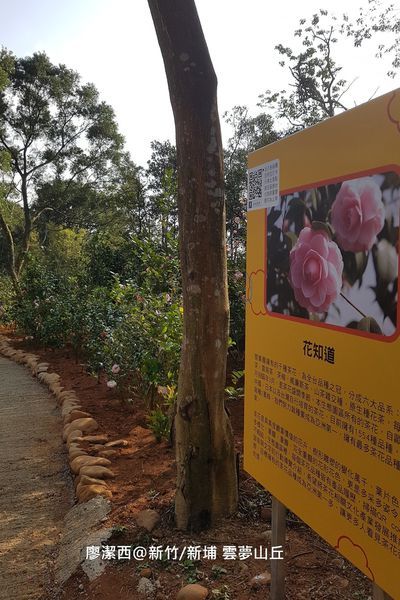 【新竹/新埔】雲夢山丘