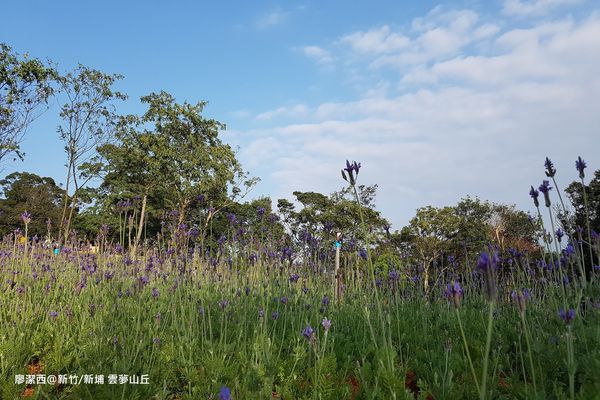 【新竹/新埔】雲夢山丘