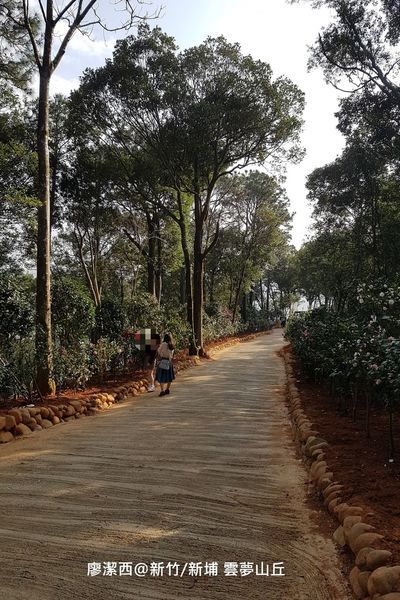 【新竹/新埔】雲夢山丘
