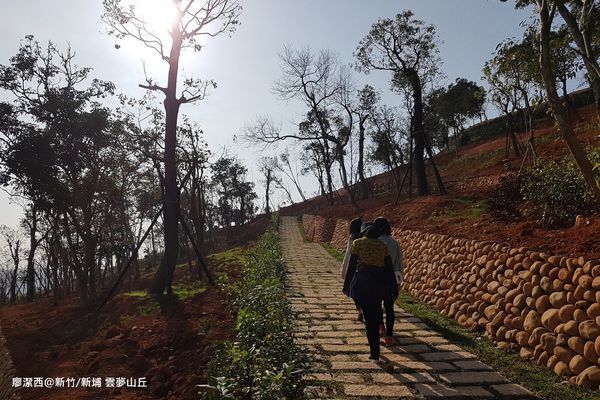 【新竹/新埔】雲夢山丘