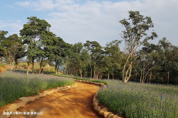 【新竹/新埔】雲夢山丘