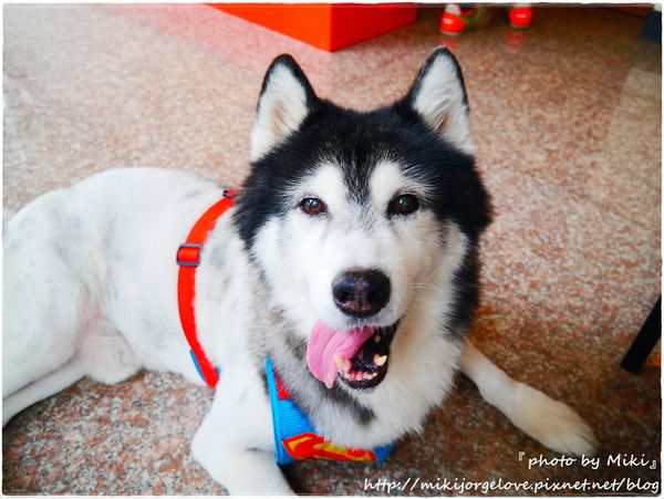 P1360888.JPG P1360888.JPG