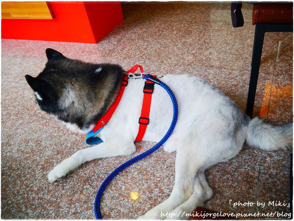 P1360881.JPG P1360881.JPG