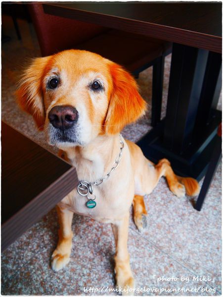 P1360886.JPG P1360886.JPG