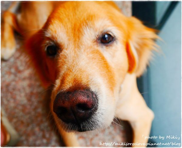 P1360880.JPG P1360880.JPG