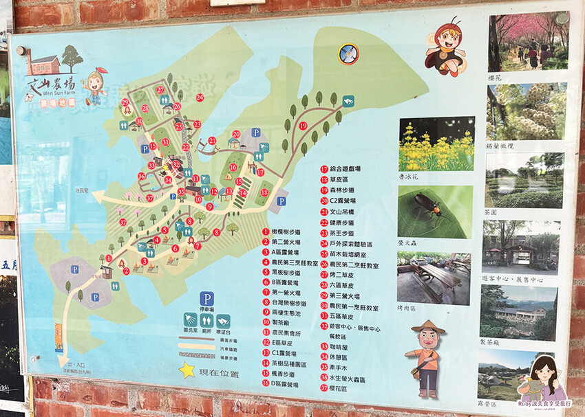 【新北美食】六堆伙房。文山 (附菜單)新客家料理,不限時不且