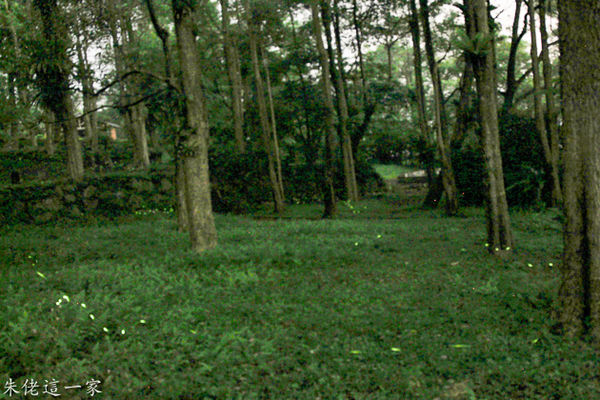 IMG_0245-2.jpg IMG_0245-2.jpg