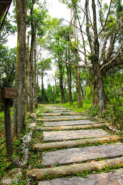 IMG_0006.jpg IMG_0006.jpg