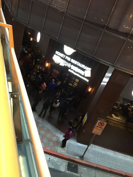 照片 2951 照片 2951