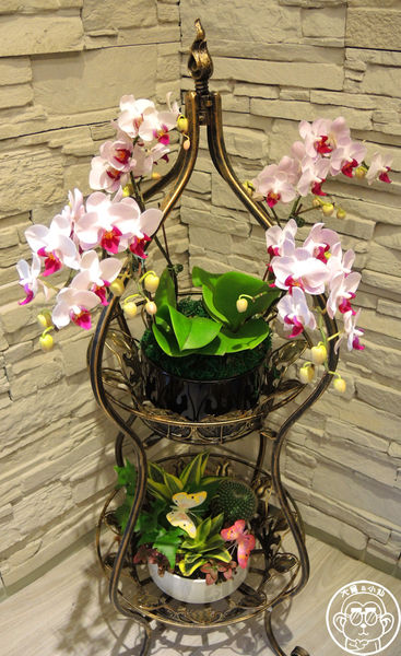 哈克廚房:呷飽祙【台北信義・Hack Bistro 哈克廚房】銷魂燉飯與義大利麵 哈克廚房:呷飽祙【台北信義・Hack Bistro 哈克廚房】銷魂燉飯與義大利麵