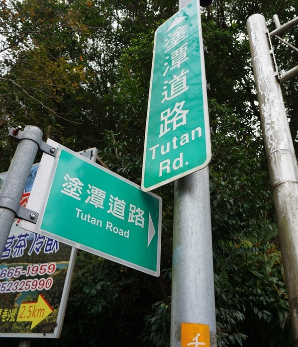 石碇落羽松:【新北◍•ᴗ•◍石碇】塗潭道路✯私房景點・石碇落羽松|坐落於秘境邊的落羽松大道 石碇落羽松:【新北◍•ᴗ•◍石碇】塗潭道路✯私房景點・石碇落羽松|坐落於秘境邊的落羽松大道