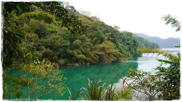 石碇落羽松:【新北◍•ᴗ•◍石碇】塗潭道路✯私房景點・石碇落羽松|坐落於秘境邊的落羽松大道 石碇落羽松:【新北◍•ᴗ•◍石碇】塗潭道路✯私房景點・石碇落羽松|坐落於秘境邊的落羽松大道