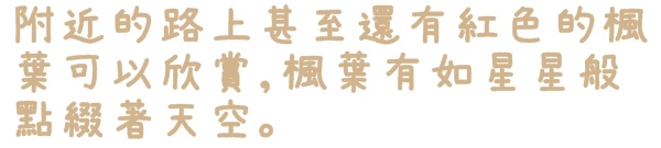 石碇落羽松:【新北◍•ᴗ•◍石碇】塗潭道路✯私房景點・石碇落羽松|坐落於秘境邊的落羽松大道 石碇落羽松:【新北◍•ᴗ•◍石碇】塗潭道路✯私房景點・石碇落羽松|坐落於秘境邊的落羽松大道