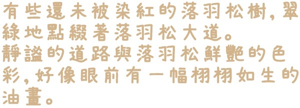石碇落羽松:【新北◍•ᴗ•◍石碇】塗潭道路✯私房景點・石碇落羽松|坐落於秘境邊的落羽松大道 石碇落羽松:【新北◍•ᴗ•◍石碇】塗潭道路✯私房景點・石碇落羽松|坐落於秘境邊的落羽松大道