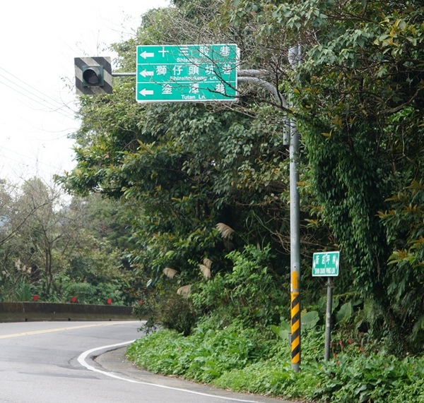 石碇落羽松:【新北◍•ᴗ•◍石碇】塗潭道路✯私房景點・石碇落羽松|坐落於秘境邊的落羽松大道 石碇落羽松:【新北◍•ᴗ•◍石碇】塗潭道路✯私房景點・石碇落羽松|坐落於秘境邊的落羽松大道