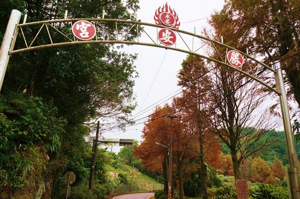 石碇落羽松:【新北◍•ᴗ•◍石碇】塗潭道路✯私房景點・石碇落羽松|坐落於秘境邊的落羽松大道 石碇落羽松:【新北◍•ᴗ•◍石碇】塗潭道路✯私房景點・石碇落羽松|坐落於秘境邊的落羽松大道