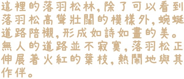 石碇落羽松:【新北◍•ᴗ•◍石碇】塗潭道路✯私房景點・石碇落羽松|坐落於秘境邊的落羽松大道 石碇落羽松:【新北◍•ᴗ•◍石碇】塗潭道路✯私房景點・石碇落羽松|坐落於秘境邊的落羽松大道