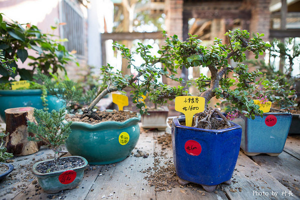 老塘湖藝術坊。草坔五路財神廟：【遊記】｛台南。學甲區｝仿古懷舊-老塘湖藝術坊